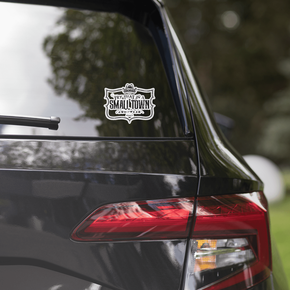 TRY THAT IN A SMALL TOWN (STICKER)